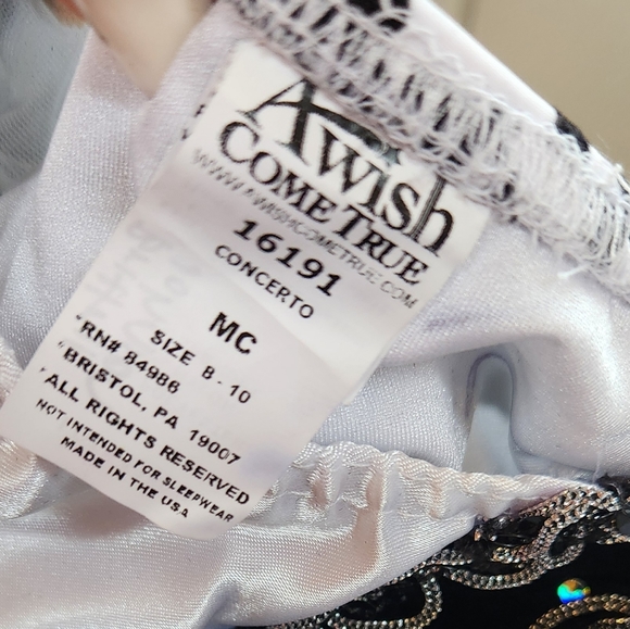 A Wish Come True Medium Child (also in Large Child) Ballet Costume ~ NEW! - Picture 4 of 4